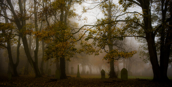 Fog in the Churchyard.