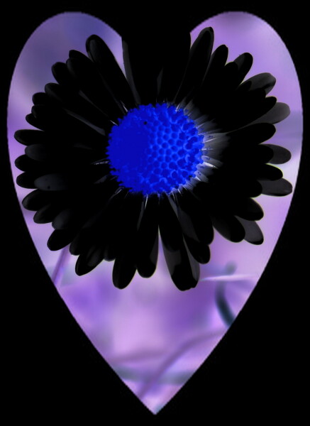 Black and Blue