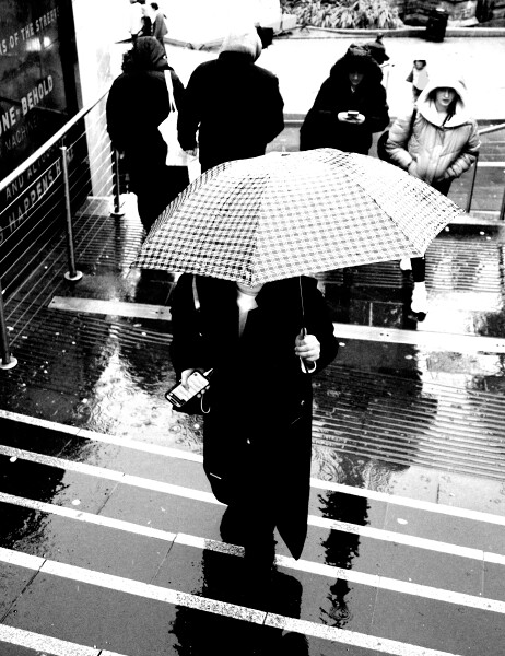Gimme Shelter