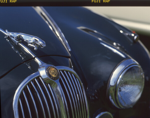 Jaguar