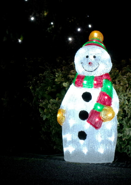 Looking Very Pleased with Itself