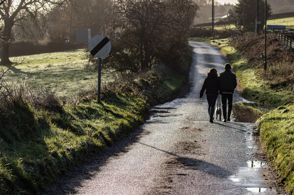 Walking the dog