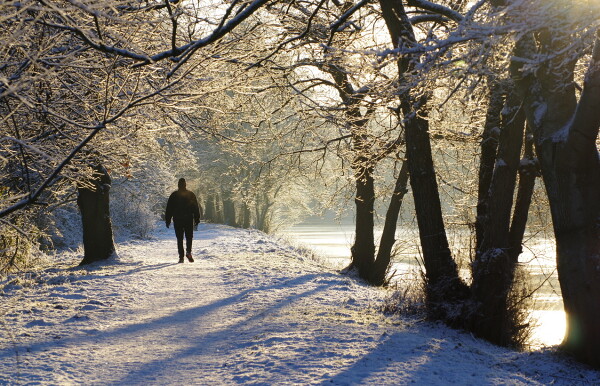 An Afternoon Stroll