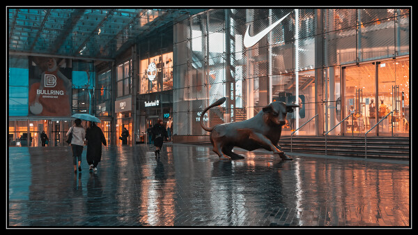 Bull