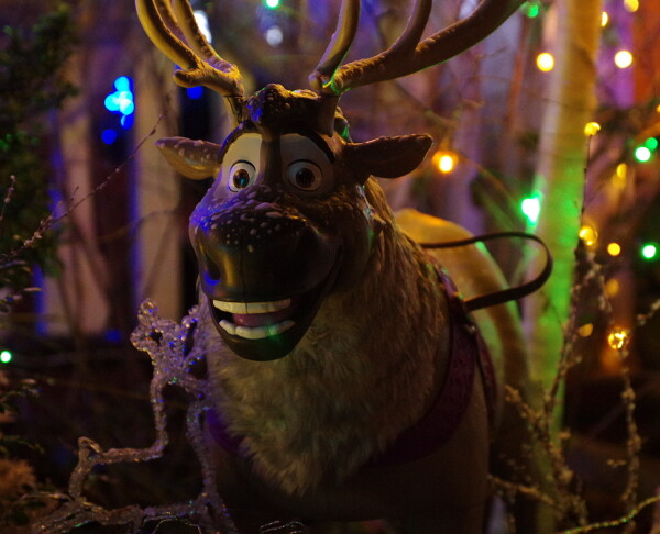 Goofy Reindeer Portrait