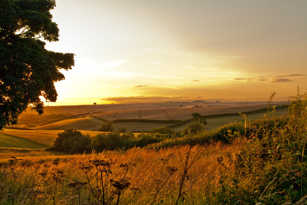 Lincolnshire Wolds Sunset