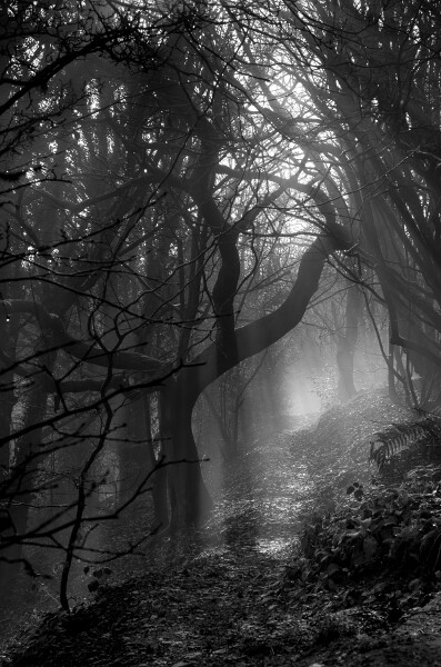 Sleepy Hollow