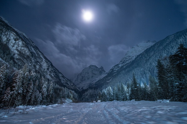 THE MOON