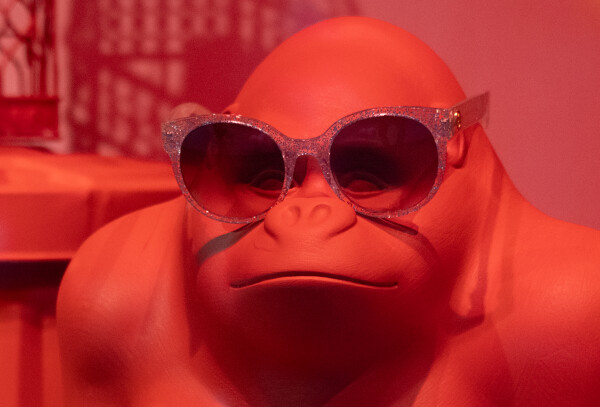 Girly Gorilla