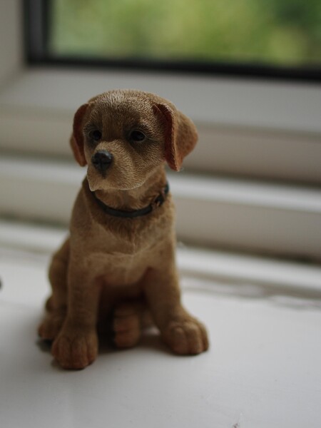 macro @24mm f 1.7