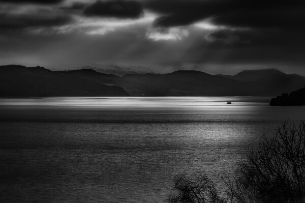 Moonlight Cruises