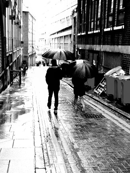 Needless Alley