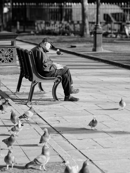 Sunday in the Park