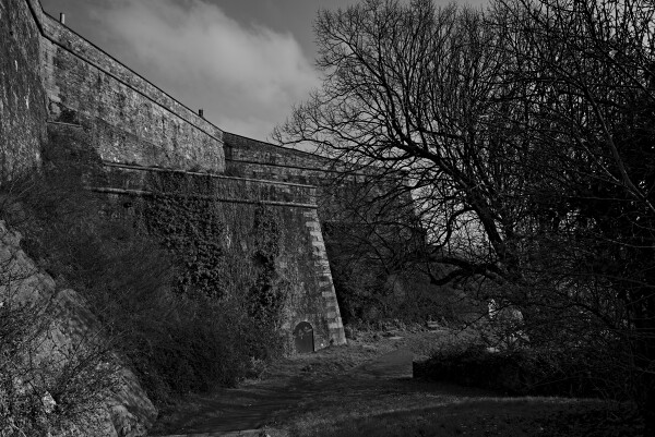 Citadel walls with a door.