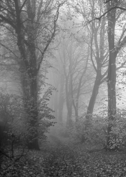 Down-the-churchyard-path and into the Mist.