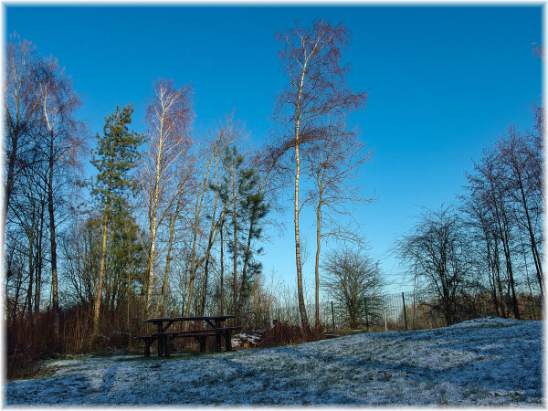 Frost and Blue Sky
