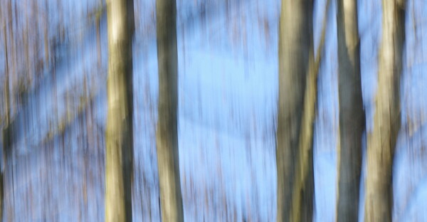 ICM...'Barcode'