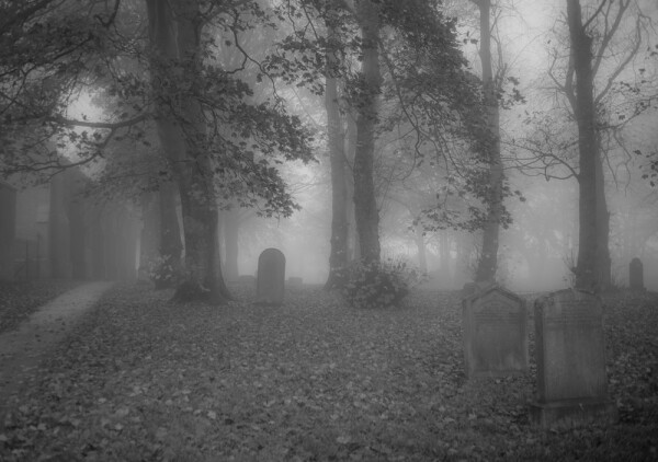The final walk in The Churchyard.