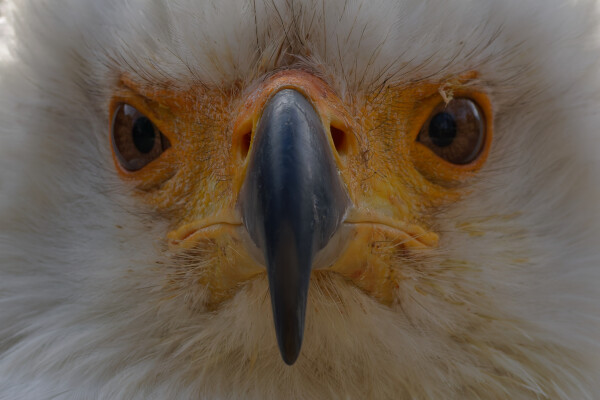 Don't mess with me!
