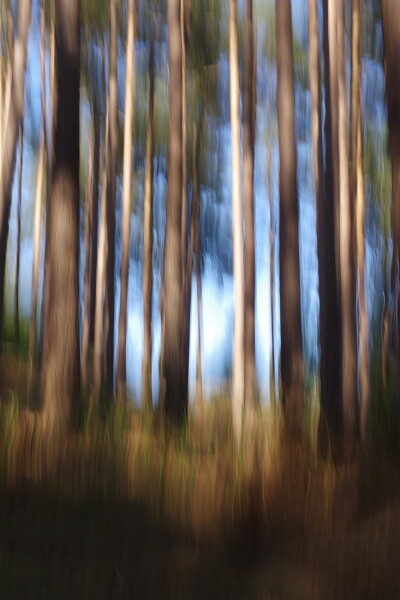 Farnham Heath ICM