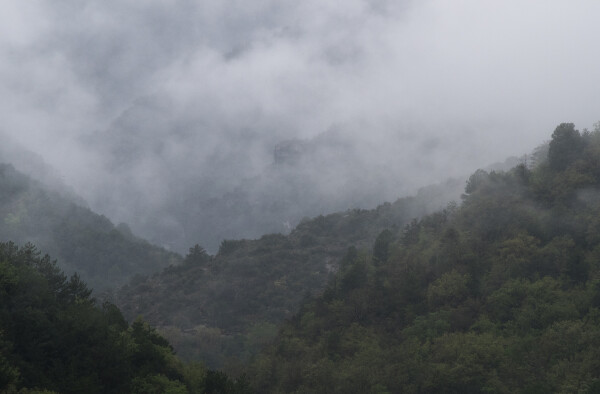 In the Cloud
