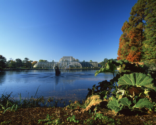 Kew Palm House