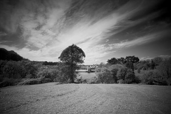 Radford Park, Plymouth.