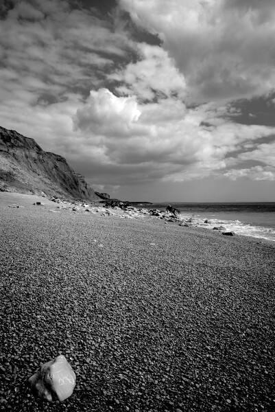 Rock Star on the beach