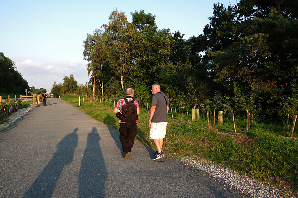 Walk the Walk