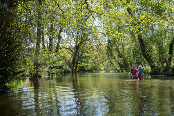 A Spring Paddle