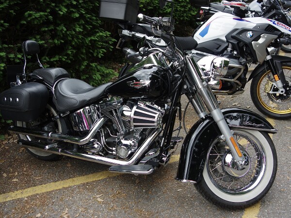 An immaculate Harley Davidson at a small car show.