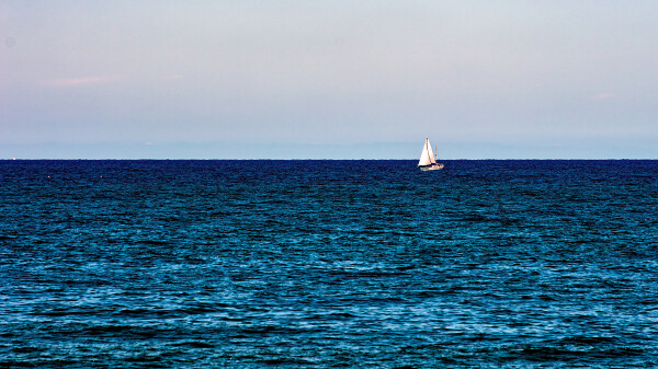 Cardigan Bay