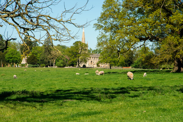 English Country Scene