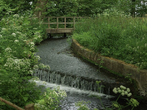 Mottisfont - National Trust