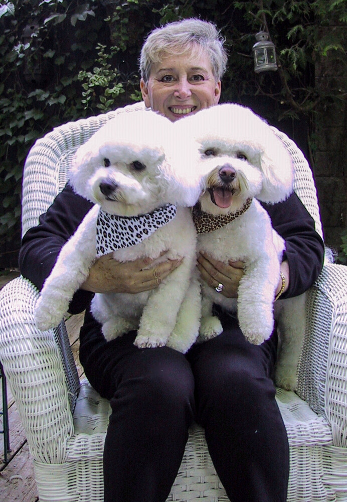 Our Two Bichons
