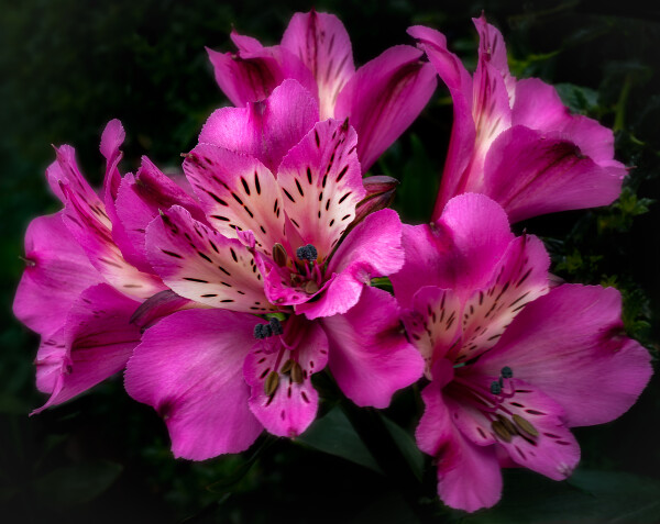 Beauty is more than 
