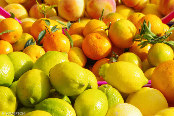 Farmers market Loano