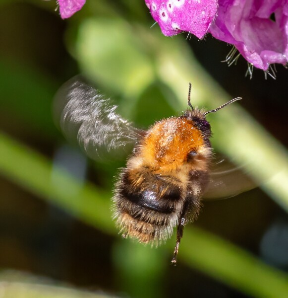 Landing