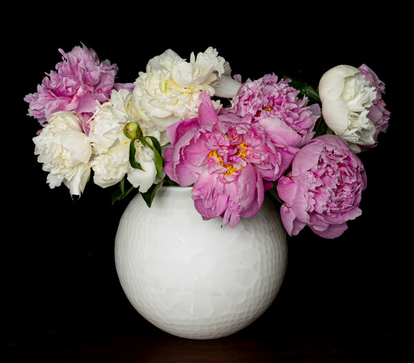 Peonies On the Wane....But