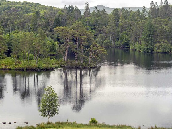 Tarn Hows