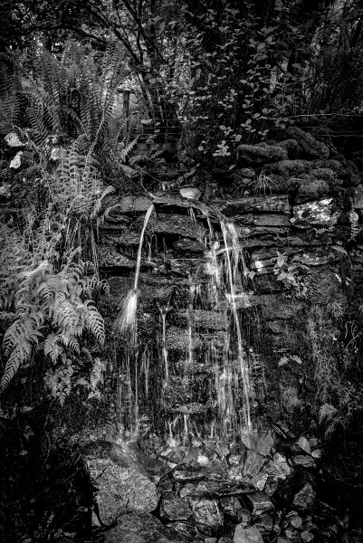 The way of water - Mono