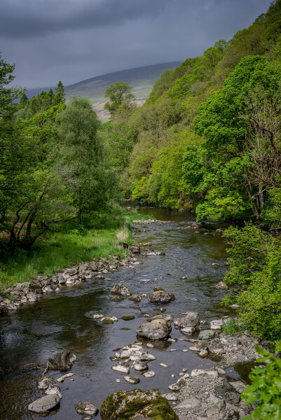View from a bridge
