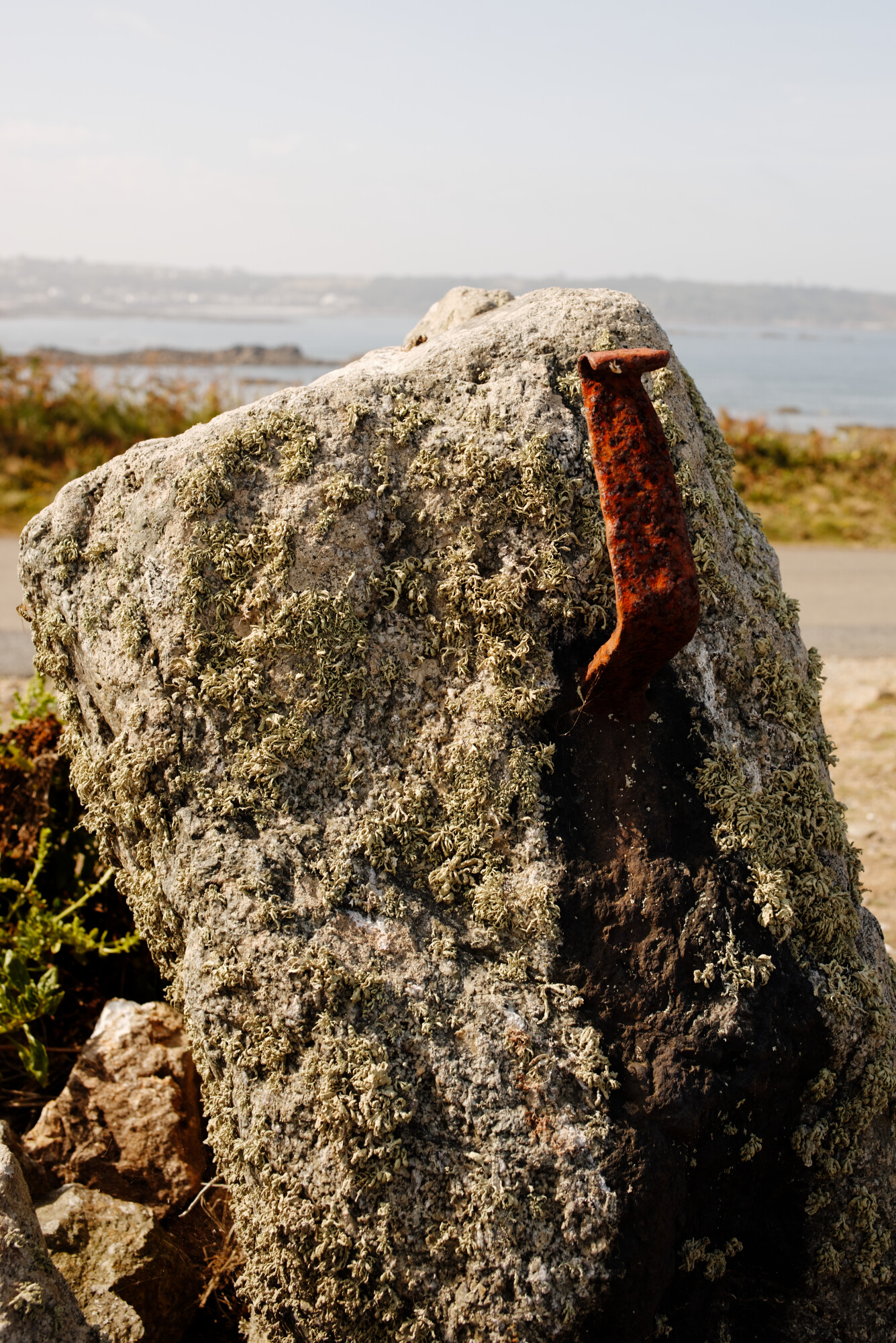 Granite, Lichen, Rust