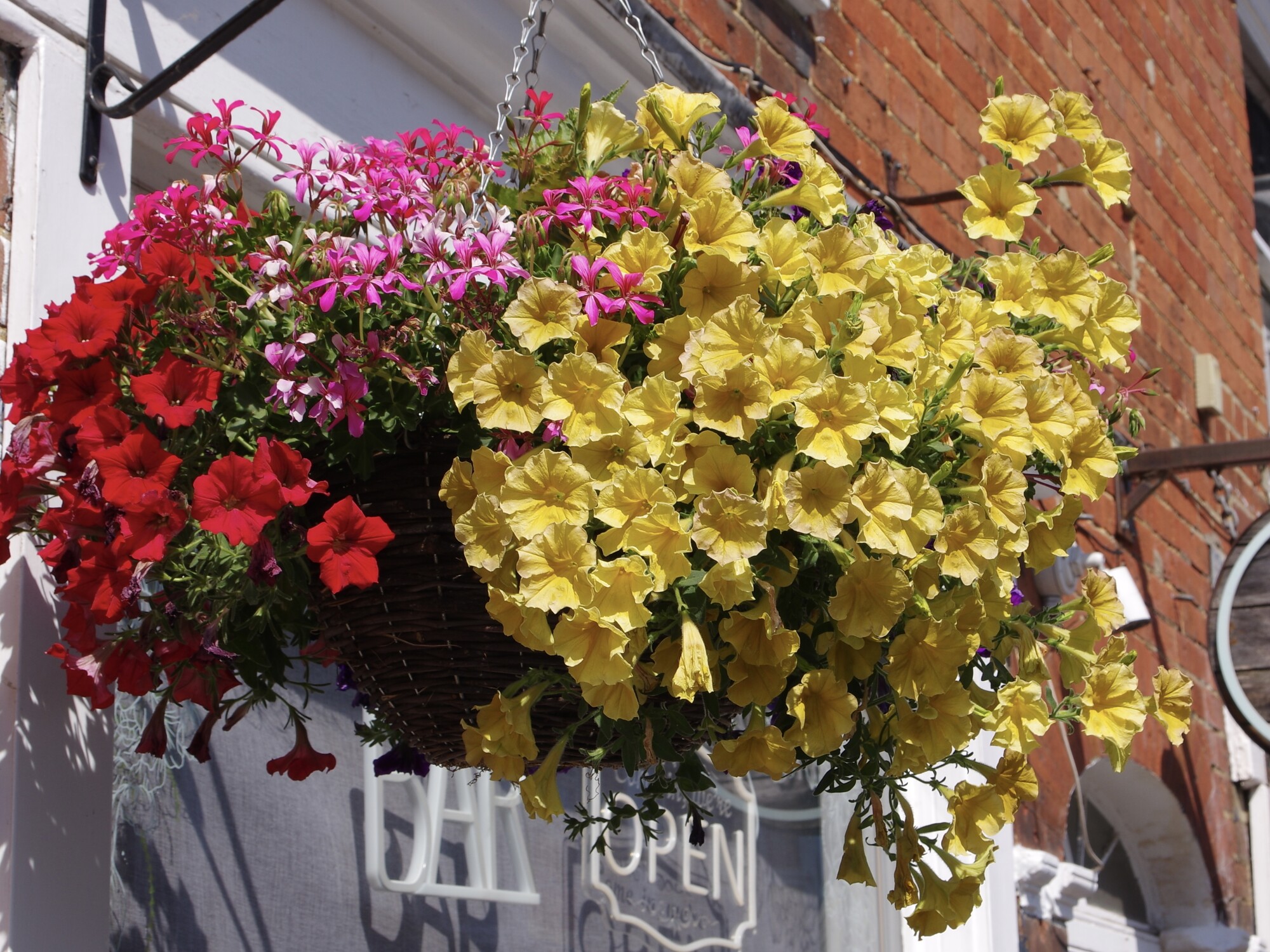 Hanging basket