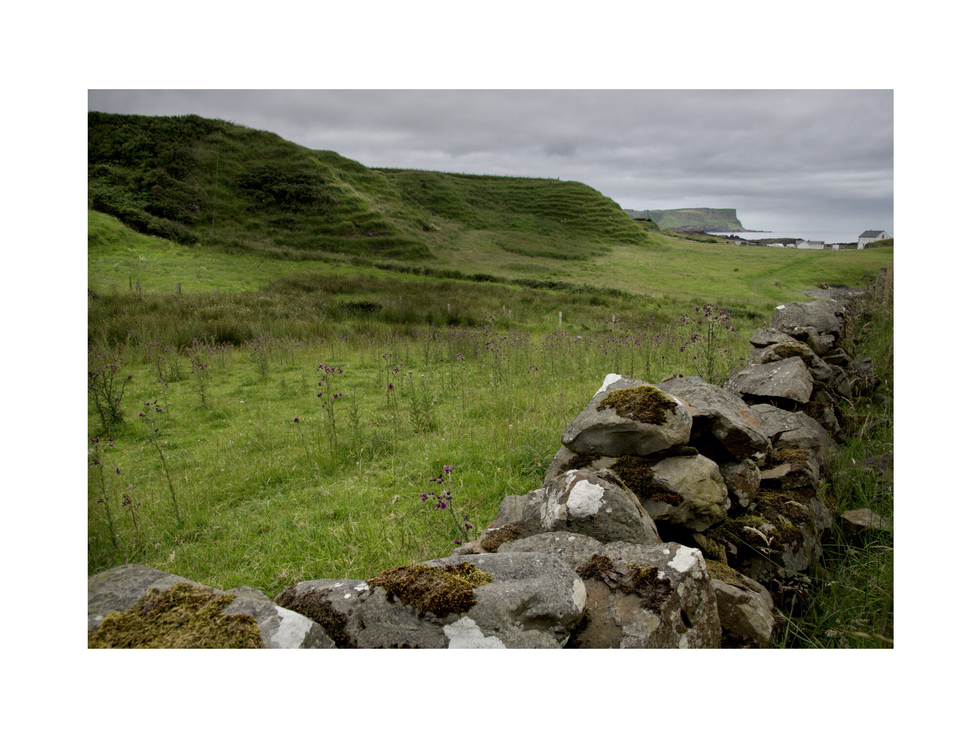 This mornings walk Dunseverick
