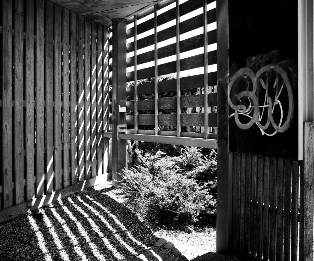 Pallet Looking Area.