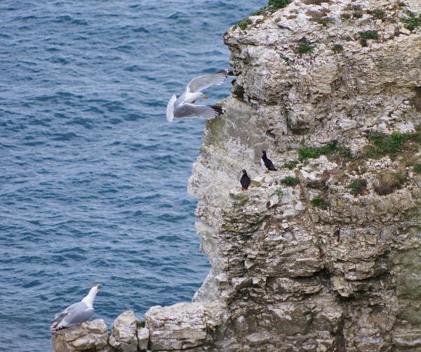Cliff hanger