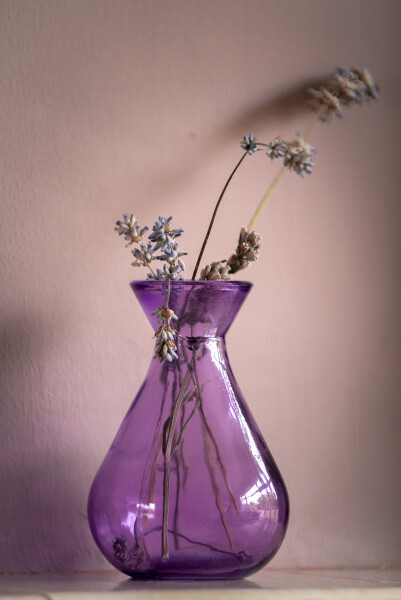 Dried Lavender