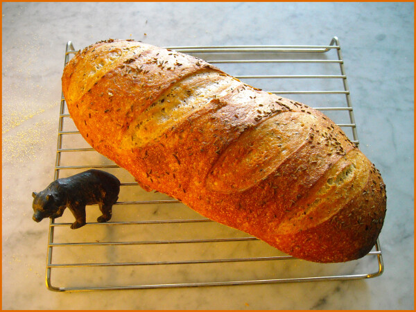 Homemade Rye Bread