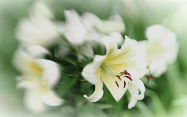 Impression (2)